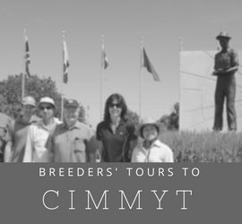 CIMMYT CAIGE Tours CIMMYT CAIGE Tours