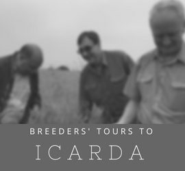 ICARDA CAIGE Tours ICARDA CAIGE Tours