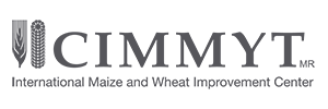 CIMMYT CIMMYT